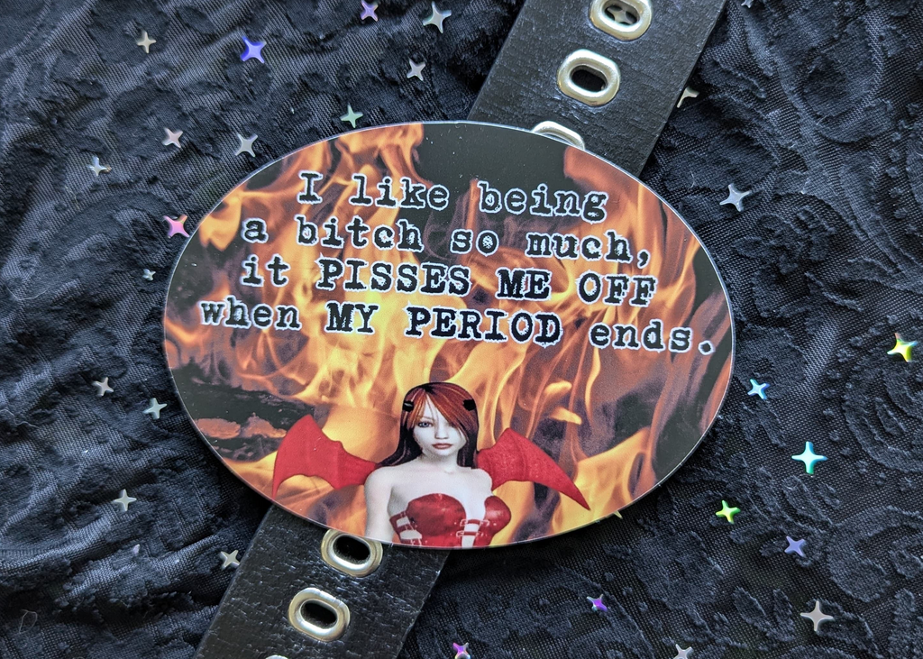 INTERNALIZED MISOGYNY STICKER